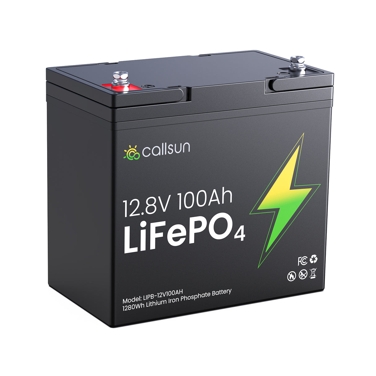 12V 100Ah LiFePO4 Deep Cycle Battery with 100A BMS