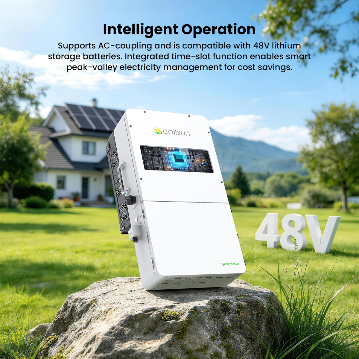12KW Split-Phase Pure Sine Wave Hybrid Solar Inverter