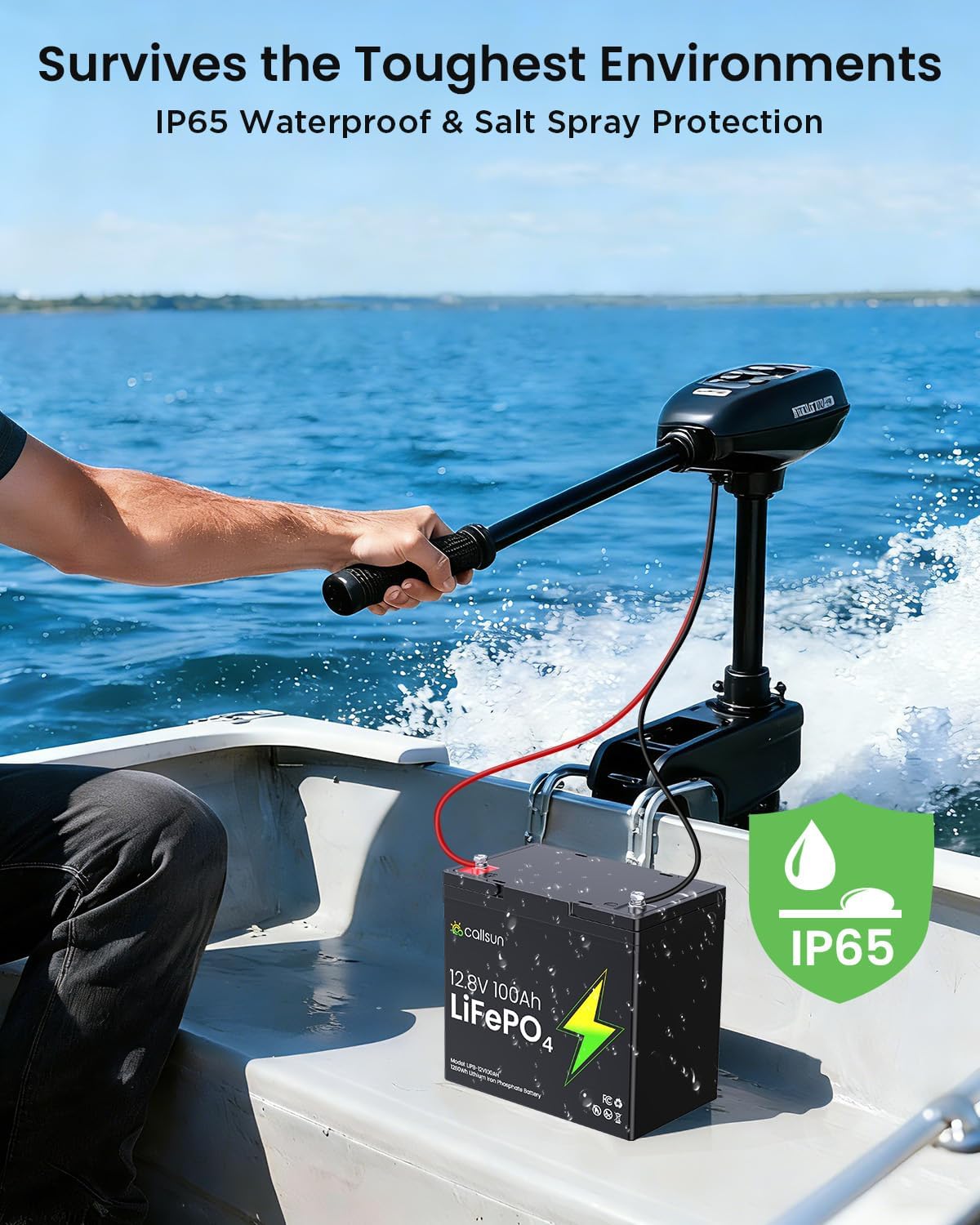 12V 100Ah LiFePO4 Deep Cycle Battery with 100A BMS