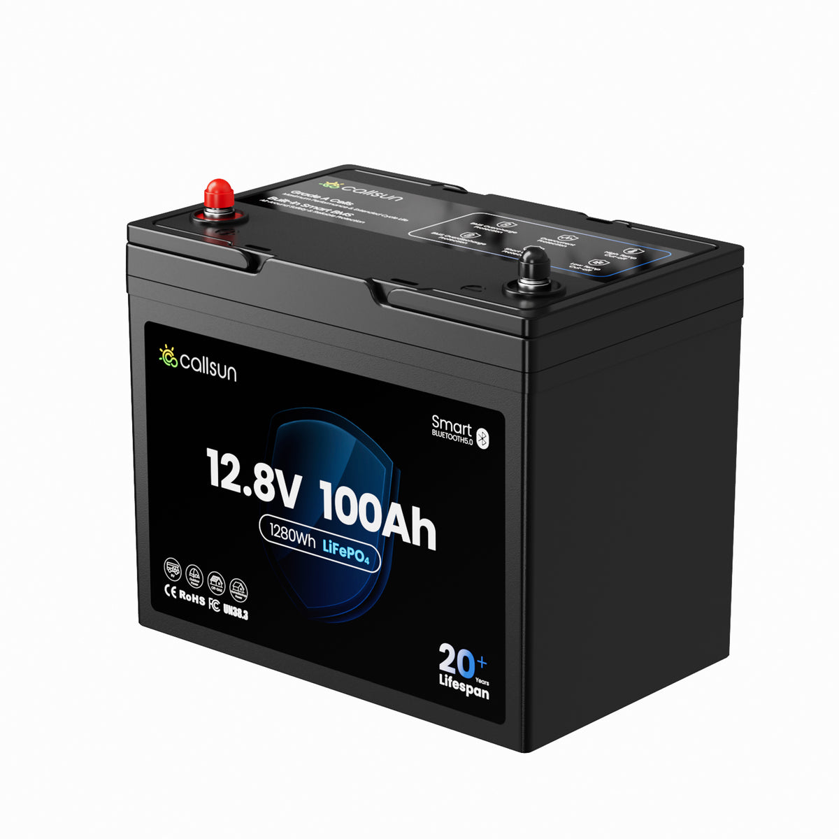12.8v 100Ah Group 24 LiFePO4 Battery