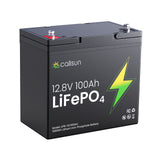 12V 100Ah LiFePO4 Deep Cycle Battery with 100A BMS