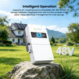 12KW Split-Phase Pure Sine Wave Hybrid Solar Inverter