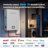 51.2v 280Ah 14.34kwh Wall Mounted Lifepo4 Battery