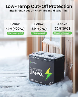 12V 100Ah LiFePO4 Deep Cycle Battery with 100A BMS