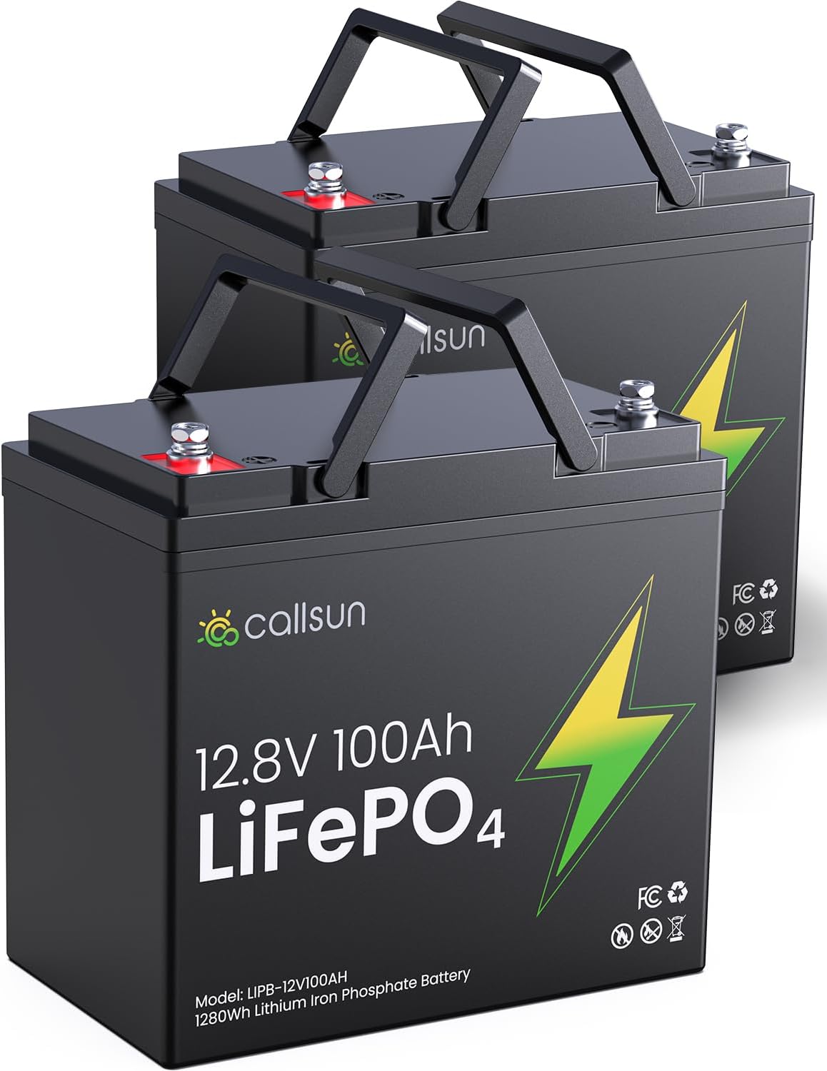 12V 100Ah LiFePO4 Deep Cycle Battery with 100A BMS