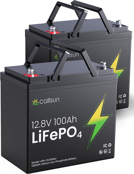 12V 100Ah LiFePO4 Deep Cycle Battery with 100A BMS