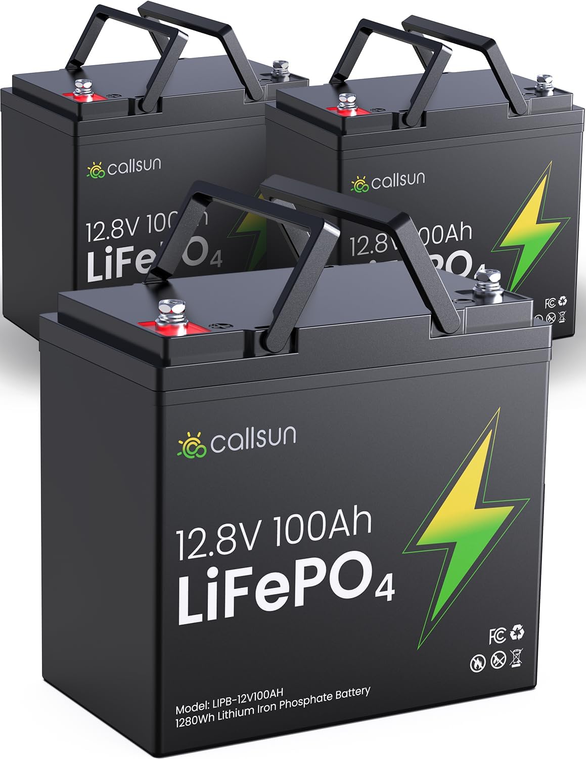 12V 100Ah LiFePO4 Deep Cycle Battery with 100A BMS