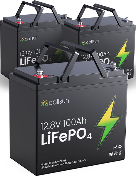 12V 100Ah LiFePO4 Deep Cycle Battery with 100A BMS