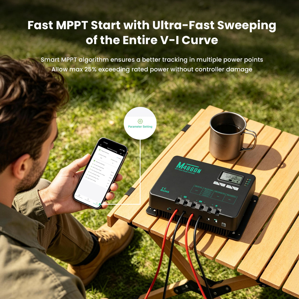 60A MPPT Solar Charge Controller 12V/24V
