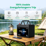 12.8v 100Ah Group 24 LiFePO4 Battery