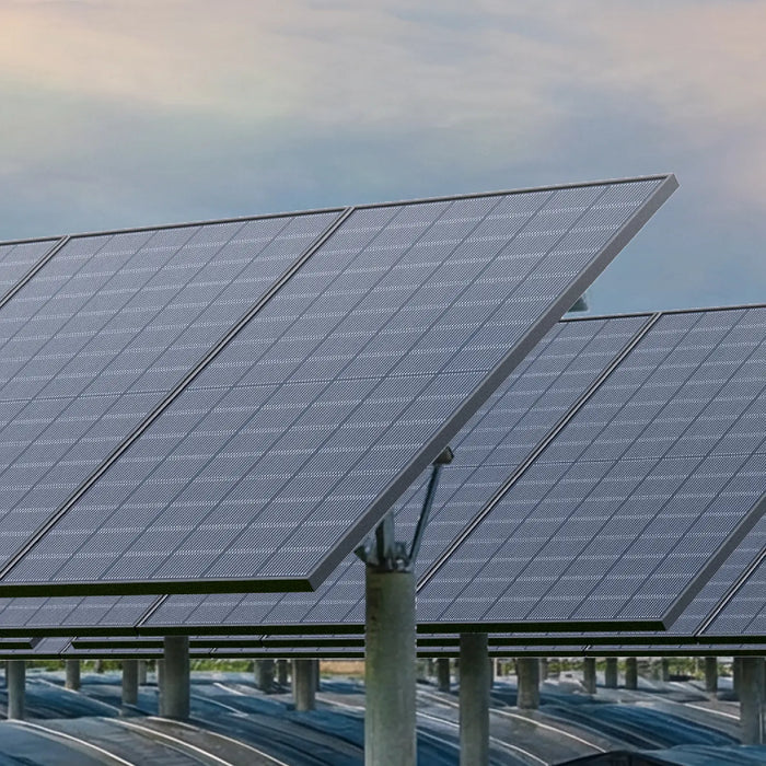 Callsun rigid solar panels installed in a large-scale ground-mounted solar farm for efficient, commercial-grade power generation.